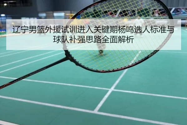 辽宁男篮外援试训进入关键期杨鸣选人标准与球队补强思路全面解析